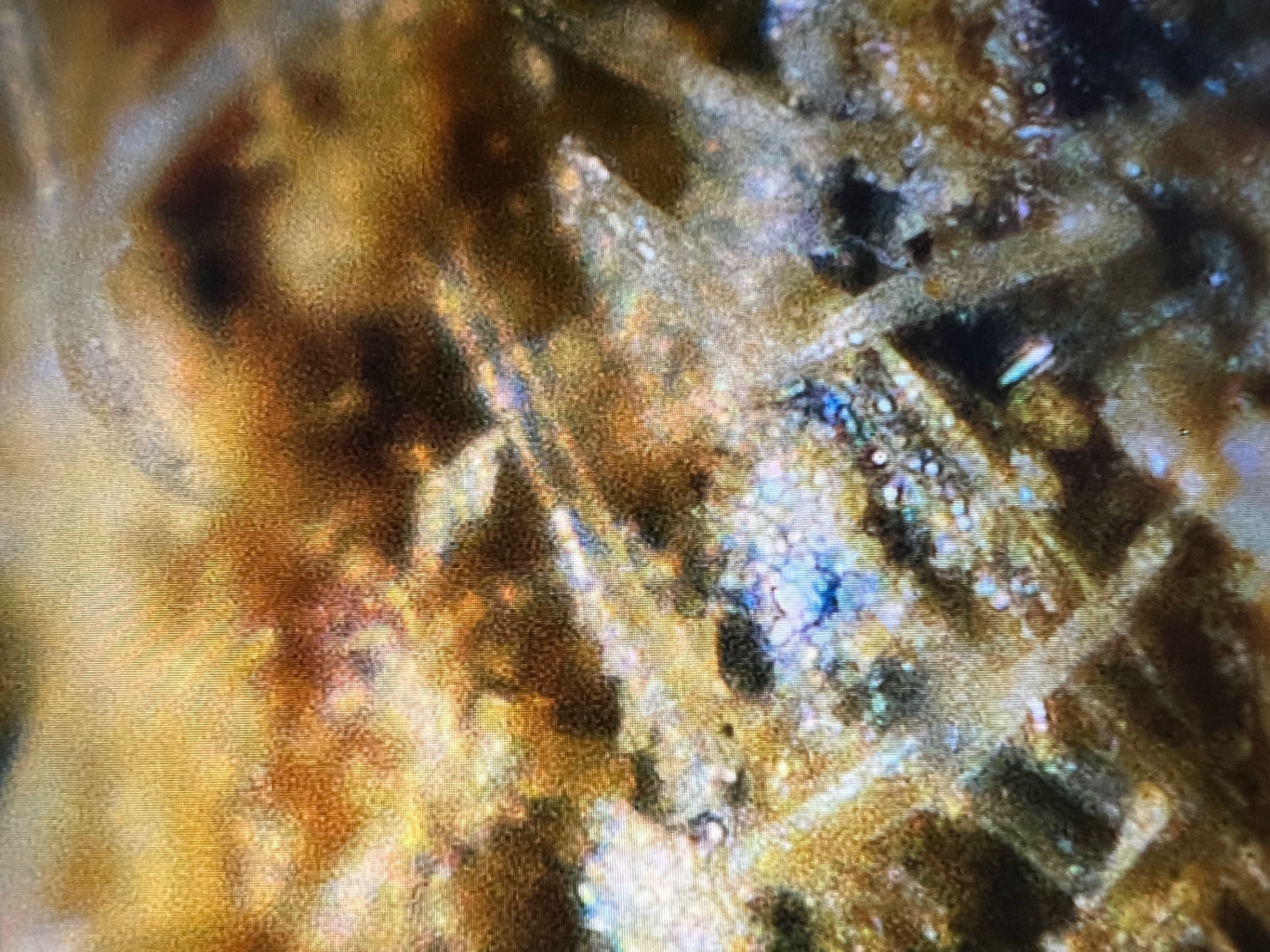 Closer microscopic view of a prepared graphitic section showing elongated tubular and linear features associated with an untreated rough diamond