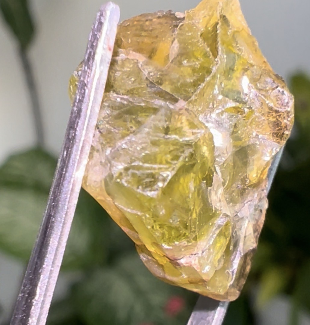 Olive peridot, Southern Saudi Arabia — source-documented specimen