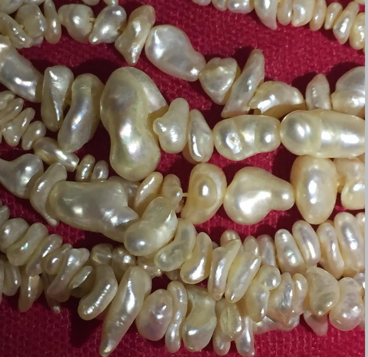 Marine pearl, Gulf of Aden — Southern Yemen — source-documented specimen