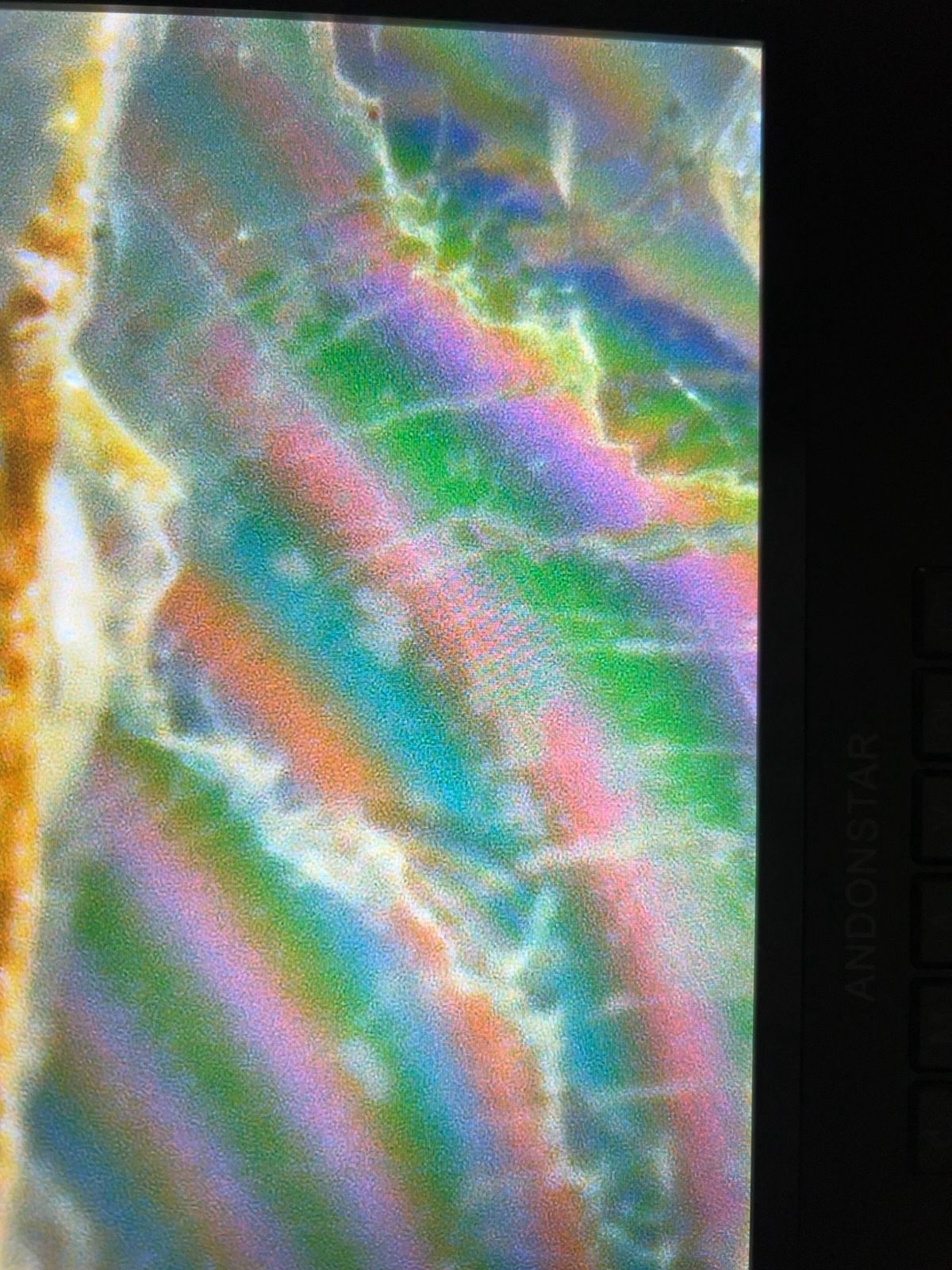 Multicoloured Microscopic Patterns