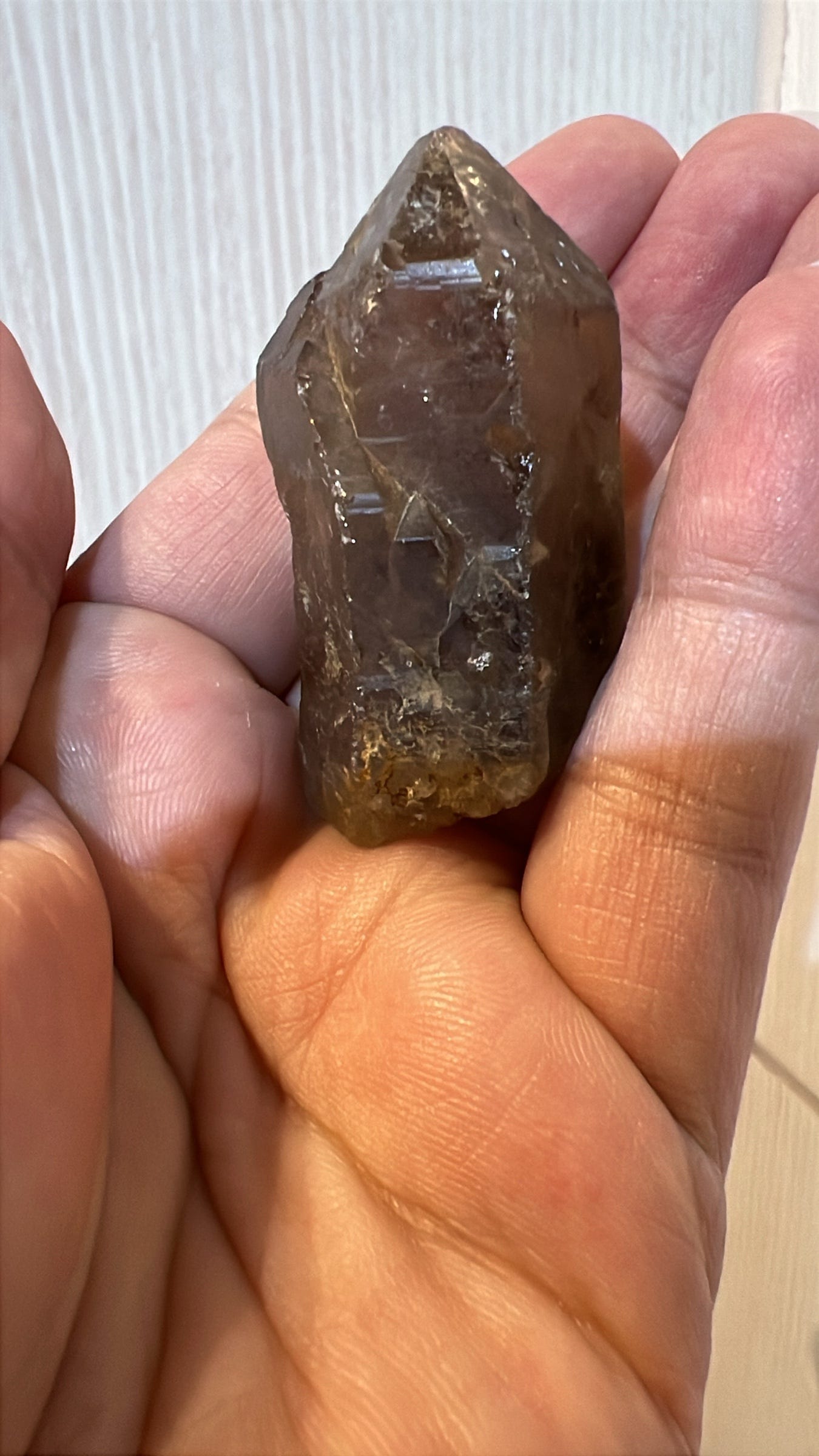 Smoky quartz specimen photographed in the field, showing brown to gray coloration and vitreous luster.