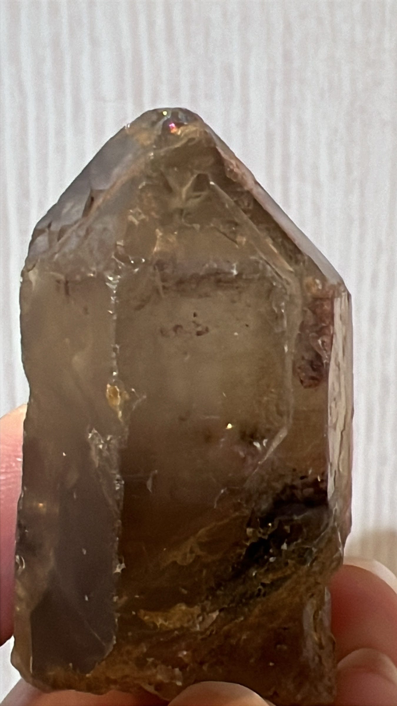 Second view of the same smoky quartz specimen, recording surface features and translucent to semi-transparent diaphaneity.