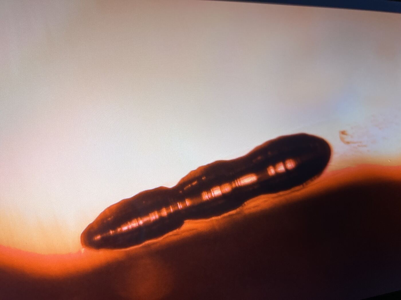 Second microscopy view of the elongated internal feature